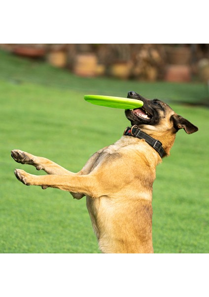 Xixishop Köpek Uçan Disk Hafif Yüzebilen (Yurt Dışından)