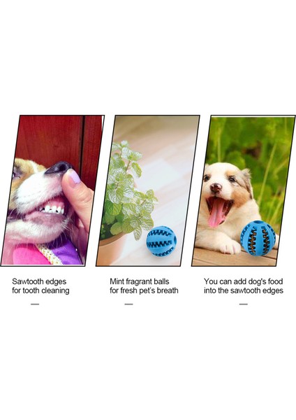 Xixishop Köpek Oyuncak Topu Dalı Nane Kokulu (Yurt Dışından) fırsatları