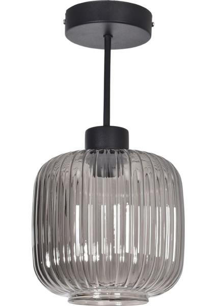 Münih Modern Salon - Mutfak - Yatak Odası Siyah Renk Camlı Tekli Tavan Plofonyer Avize