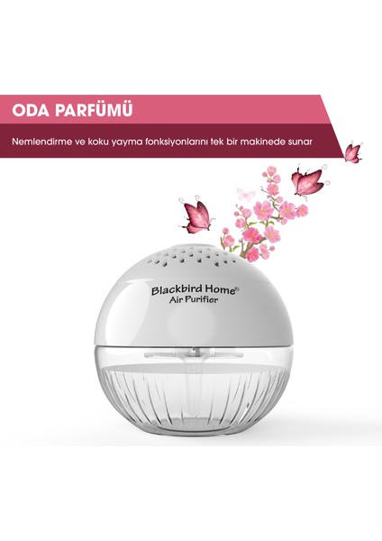 Işıklı Hava Temizleyici Küre Antrasit + 150 ml Amber Küre Solüsyonu