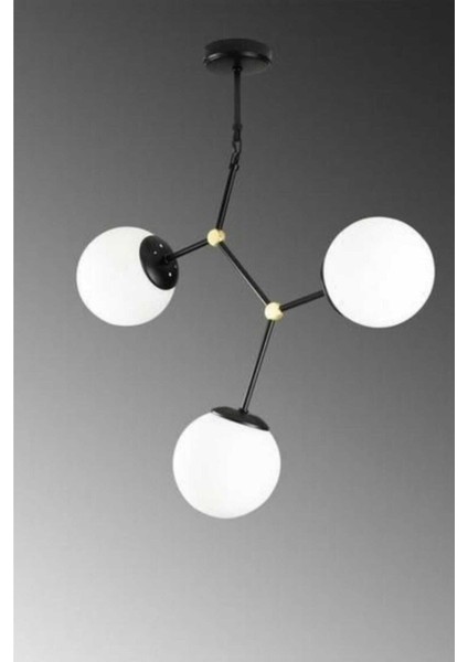 Zarif 3'lü Siyah/eskitme Avize (Beyaz Camlı)