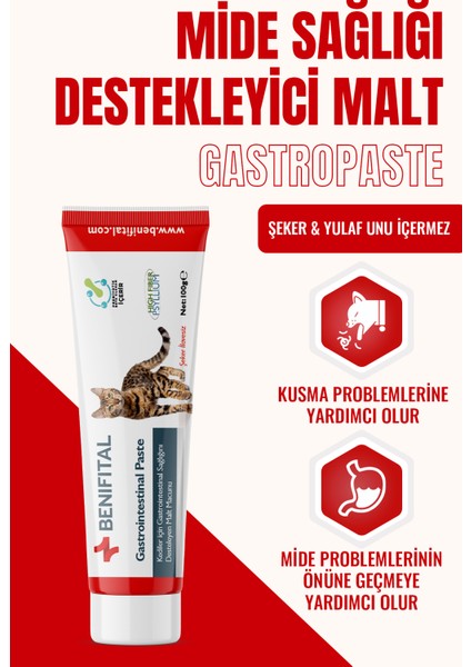 Gastrointestinal Paste 100 gr Kediler Için Mide ve Destekleyici Premium Malt Paste Macun fiyatları