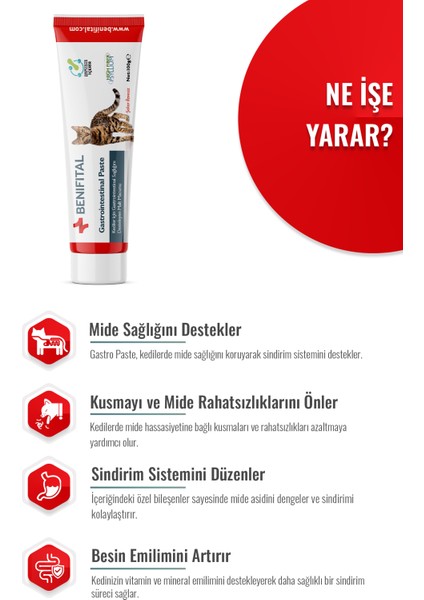 Gastrointestinal Paste 100 gr Kediler Için Mide ve Destekleyici Premium Malt Paste Macun modelleri