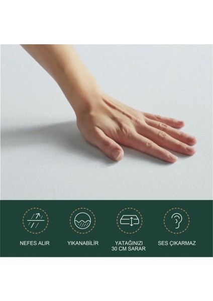 120X200 Sıvı Geçirmez Tek Kişilik Alez Pamuklu Fitted