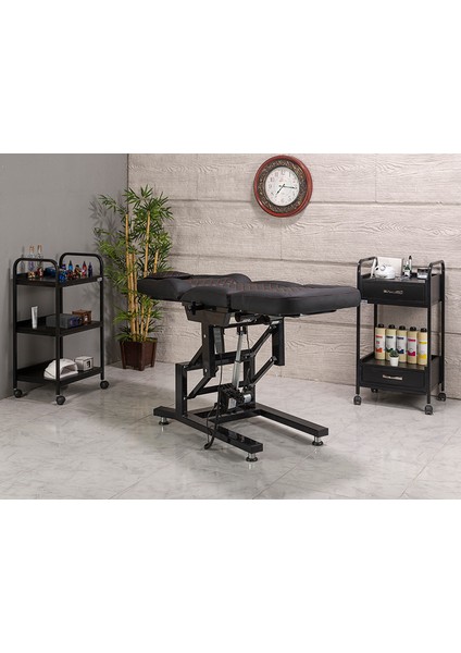 Elegance Motorlu Dövme Koltuğu Motorlu Cilt Bakım Koltuğu fiyatları