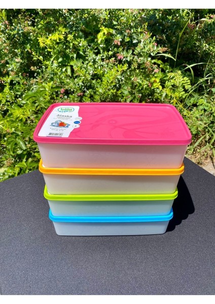 Çok Renkli 4'lü Derin Dondurucu Saklama Kabı 2100 ml No Frost Düşük Buzluk İçin