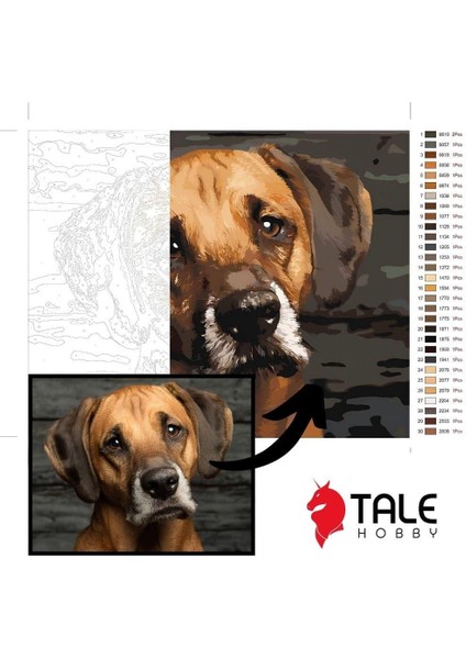 Kişiye Özel Yapım Sayılarla Boyama Seti Tuvale Gerili 40X50CM