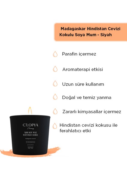 Madagaskar Hindistan Cevizi Kokulu Soya Mum - Siyah