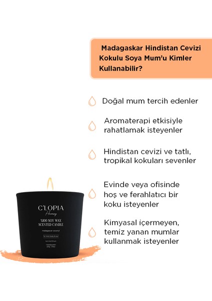 Madagaskar Hindistan Cevizi Kokulu Soya Mum - Siyah