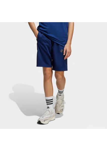 Sportswear.-