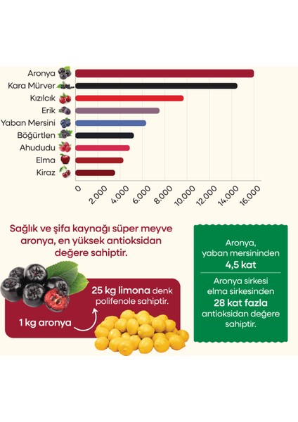 Hediyelik Bolbol Aronya modelleri