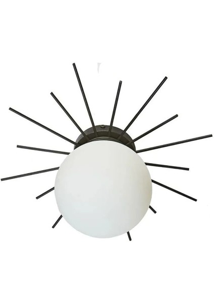 Modern Tekli Plafonyer Avize