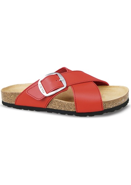 Kadın Terlik 9910-Z53 (35-42) fiyatları