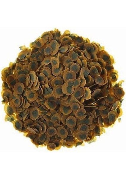 Pro Algae 100 Gram Bitkisel Balık Yemi
