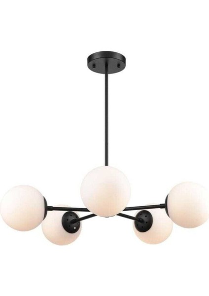 Alanzo 5'li Siyah Avize