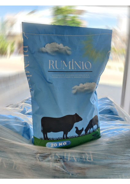 RUMİN10 Premiks 20 kg