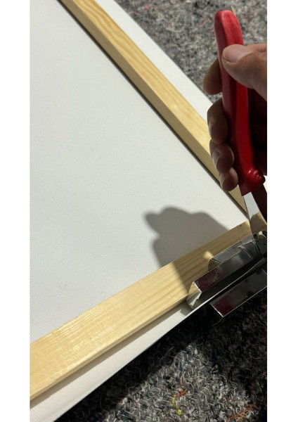Gece Bahçesinde Modern Soft Çiçekler Kanvas Tablo