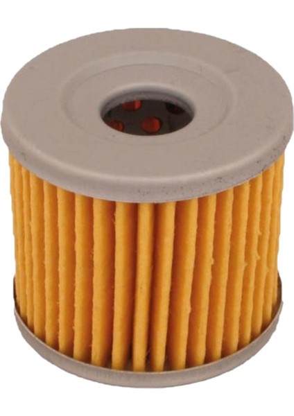 Wolf 250 Yağ Filtresi Orjinal