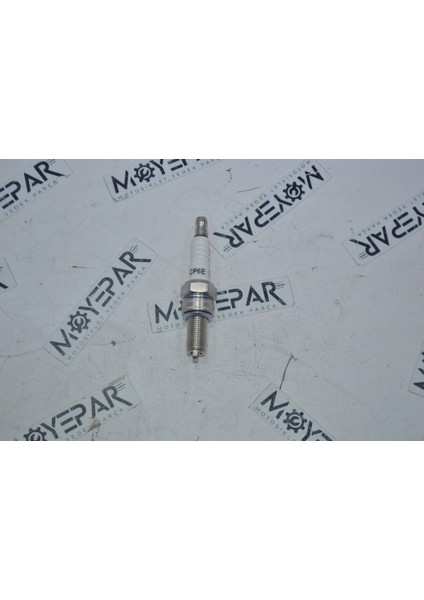 FLC10000015 CP6E Spacy Cbf (Ince Uzun Paso)