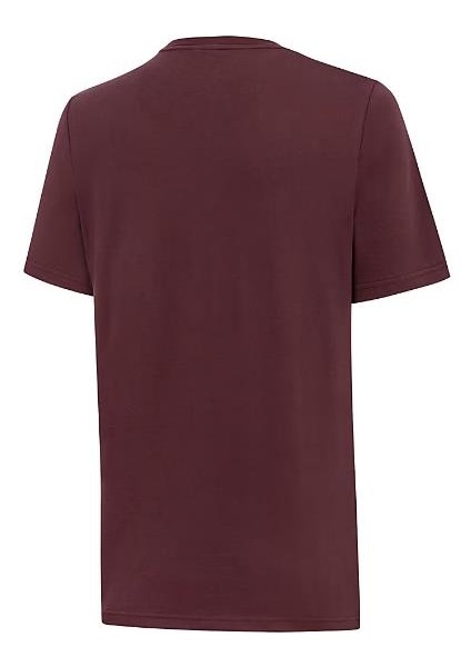 Erkek Bordo Puma Istanbul Graphic Tee Bordo Erkek T-Shirt fiyatları