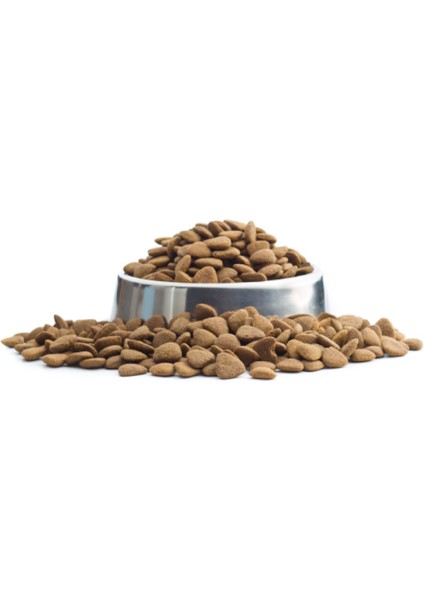 Kuzu Etli ve Pirinçli Yetişkin Köpek Maması 1,5 kg