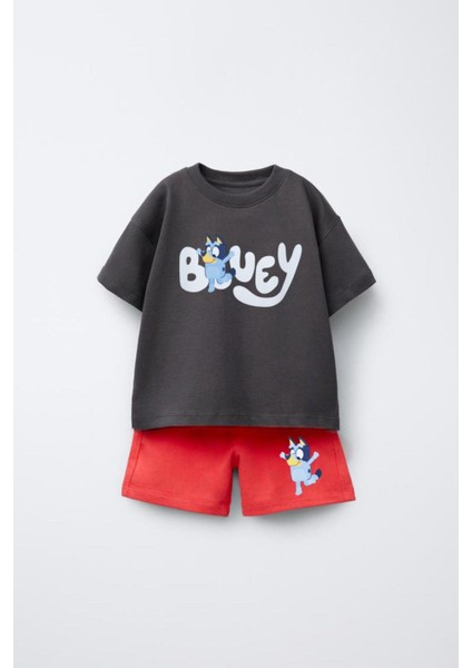 Çocuk Pamuklu Siyah Kırmızı Bluey T-Shirt ve Şort Takım