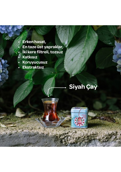 Geleneksel Türk Çayı Seti 90 gr indirimleri