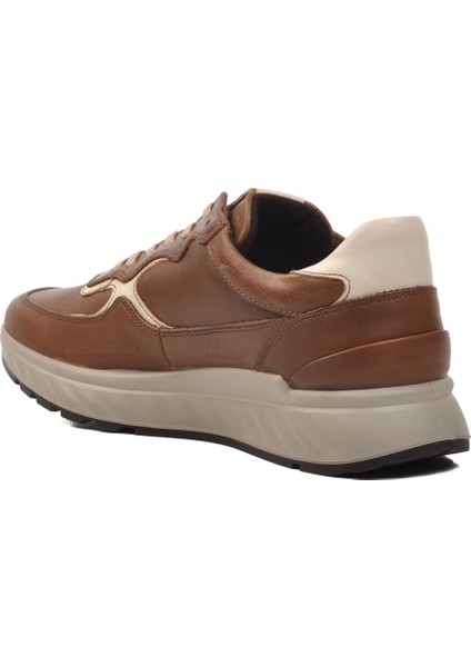 Taba Erkek Sneaker Ayakkabı