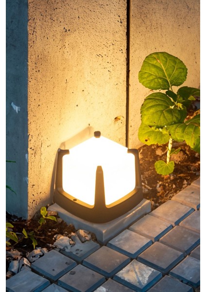 18W Dış Mekan Dekoratif LED Aydınlatma