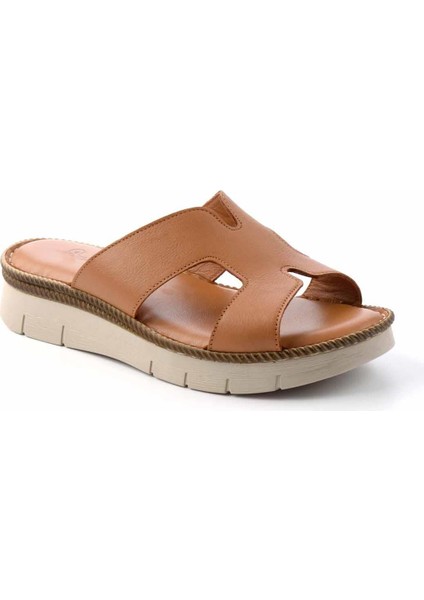 Taba Leather Kadın Terlik K04296100303 modelleri