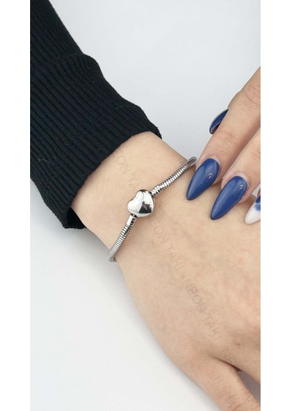, Duyarlılık Etiketi ve Charm Taşıyıcı Paslanmaz Bileklik 139, Kalp Klipsli 19cm