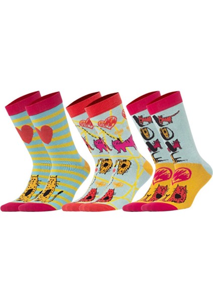 Design Cats Kadın Soket Çorap Set Koleksiyon Özel Tasarım Kırmızı Kalp Kedi Rengarenk 3'lü
