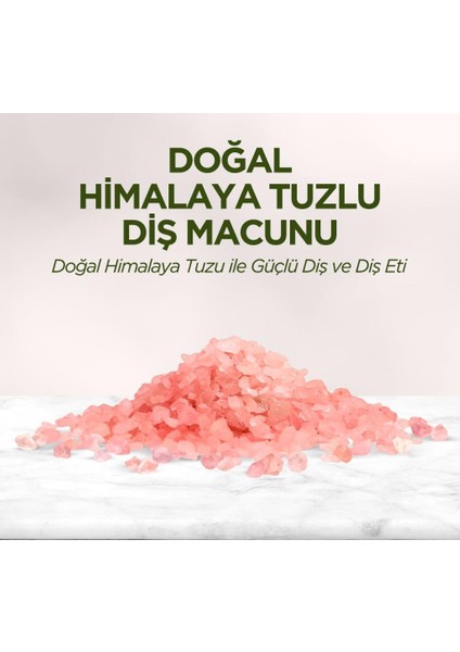 Doğal Diş Macunu 90 gr Himalaya Tuzlu