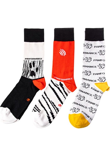 Design Dogs Pawformance Çorap Set Koleksiyon Özel Tasarım