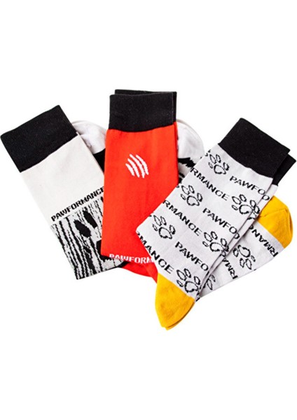 Design Dogs Pawformance Çorap Set Koleksiyon Özel Tasarım modelleri