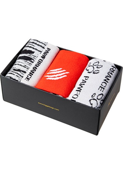 Design Dogs Pawformance Çorap Set Koleksiyon Özel Tasarım fırsatları