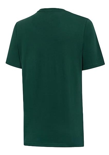 Erkek Yeşil Puma Istanbul Graphic Tee Yeşil Erkek T-Shirt fiyatları