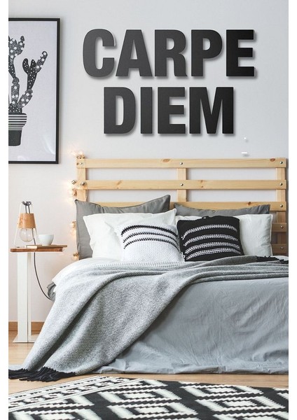 Ahşap Siyah Carpe Dıem Yazılı Duvar Dekoru Salon Oturma Yatak Odası Için Lazer Kesim Mdf Tablo