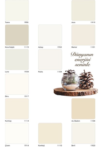 Silikonlu Mat Iç Cephe Duvar Boyası 15 Lt Renk:şampanya