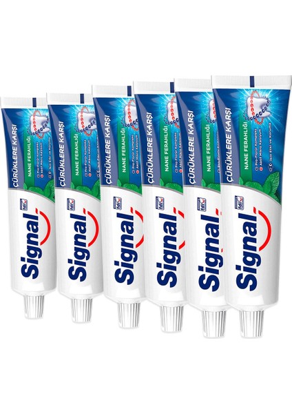 Diş Macunu Nane Ferahlığı 100 ml X6
