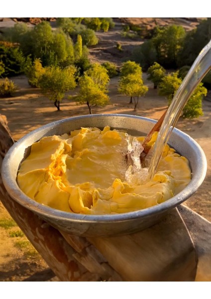Tereyağı