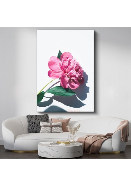 Pembe Şakayık - Modern Botanik Fotoğraf Kanvas Tablo