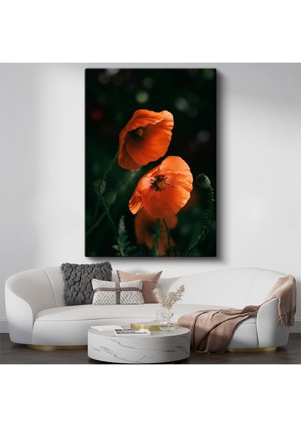 Turuncu Gelincikler - Koyu Zeminde Parlak Haşhaş Çiçekleri Kanvas Tablo