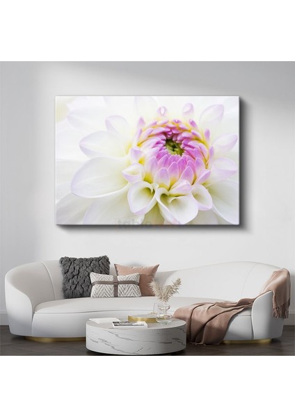 Beyaz Yıldız Çiçeği - Pembe Merkezli Zarif Detay Kanvas Tablo
