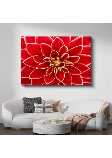 Kırmızı Yıldız Çiçeği - Geometrik Detaylı Makro Çekim Kanvas Tablo