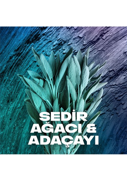 Erkek Sprey Deodorant Apollo 48 Saat Etkileyici Koku Vücut Spreyi 150 ml X3 Adet