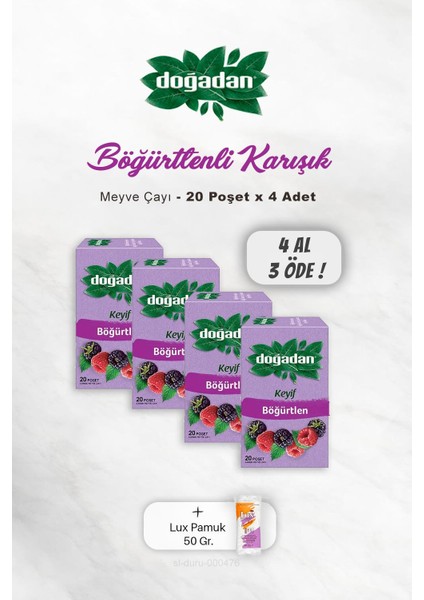 4 Al 3 Öde Doğadan Böğürtlenli Karışık Meyve Çayı, Pamuk