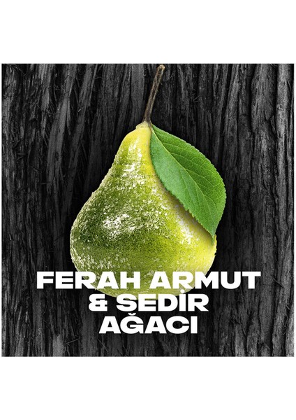 Erkek Deodorant & Bodyspray Black 48 Saat Etkileyici Koku Vücut Spreyi 150 ml X3 Adet