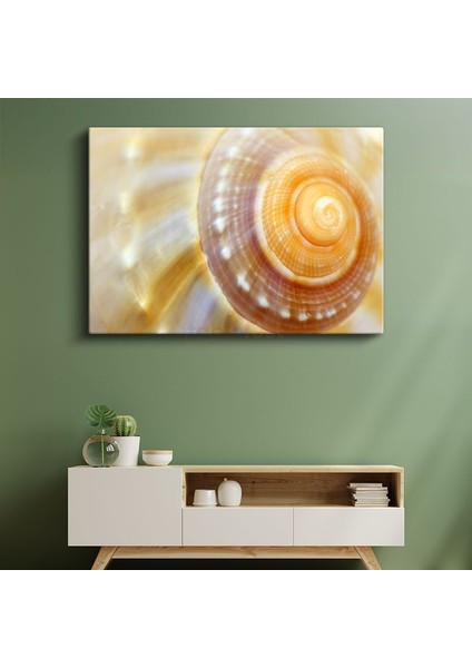 Deniz Kabuğu - Altın Spiral Desen Kanvas Tablo