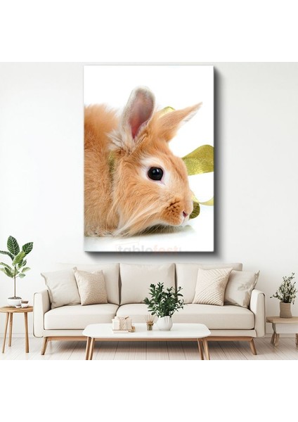 Sevimli Tavşan - Yumuşak Tüylü Minik Dost Kanvas Tablo